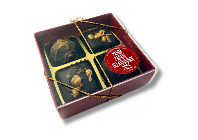 Talvine ahvatlus 4tk